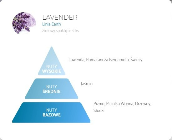 lavender lavender
